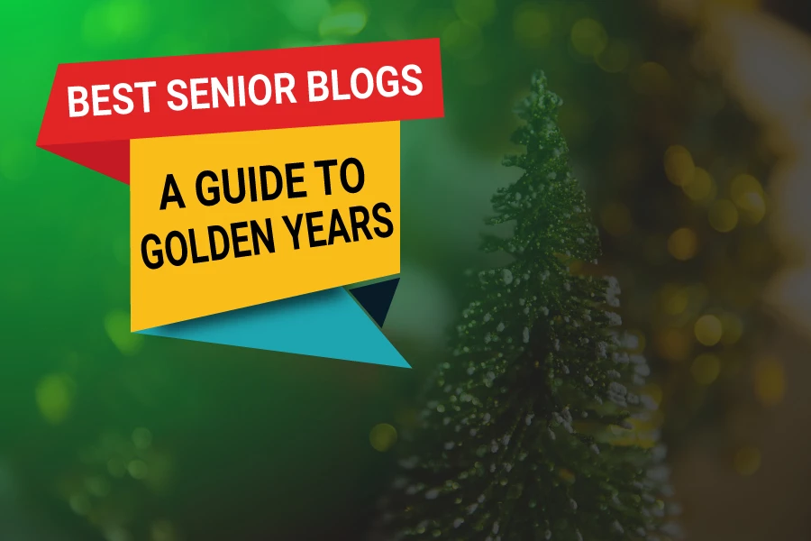 Best Senior Blogs